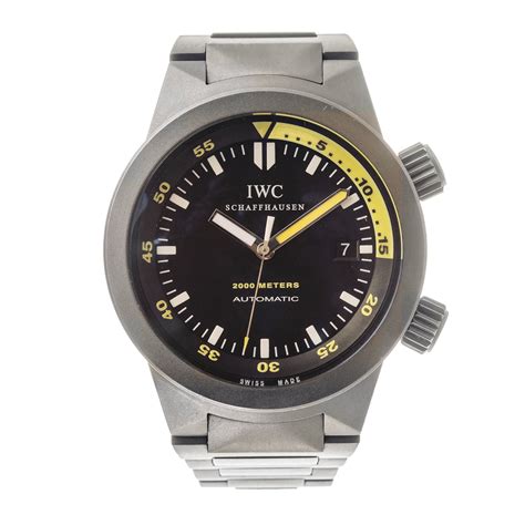 IWC IW353803 Aquatimer 2000 Titanium / Titanium (56487)